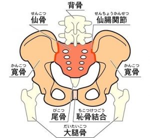 繰り返す腰痛どうしたら 天童市のコスモ接骨院 コスモ接骨院